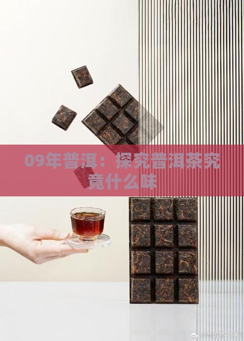 09年普洱：探究普洱茶究竟什么味