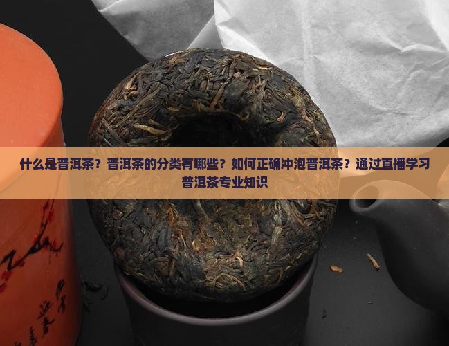 什么是普洱茶？普洱茶的分类有哪些？如何正确冲泡普洱茶？通过直播学习普洱茶专业知识