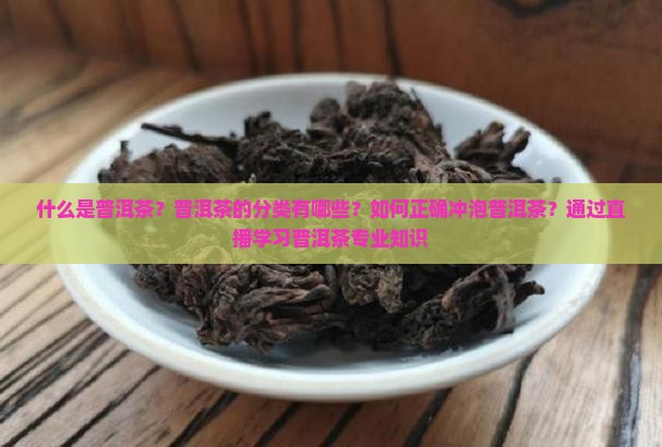 什么是普洱茶？普洱茶的分类有哪些？如何正确冲泡普洱茶？通过直播学习普洱茶专业知识