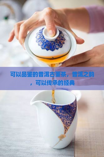 可以品鉴的普洱古董茶，普洱之韵，可以传承的经典