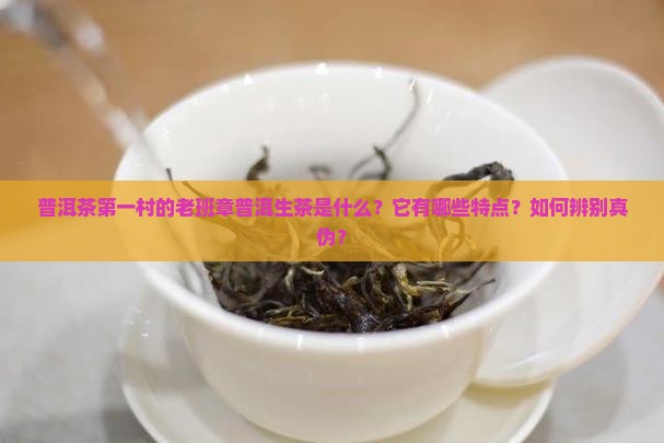 普洱茶第一村的老班章普洱生茶是什么?它有哪些特点?如何辨别真伪? 普洱茶第一村的老班章普洱生茶是什么?它有哪些特点?如何辨别真伪?