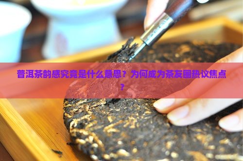 普洱茶韵感究竟是什么意思？为何成为茶友圈热议焦点？