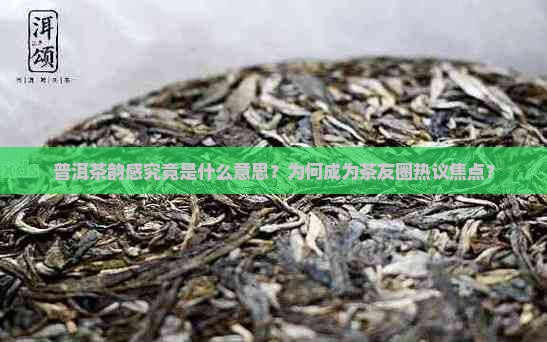 普洱茶韵感究竟是什么意思？为何成为茶友圈热议焦点？