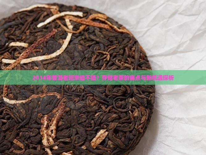 2014年普洱老班章值不值？存储老茶的痛点与新机遇探析