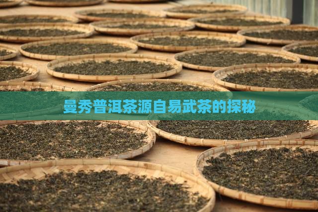 曼秀普洱茶源自易武茶的探秘