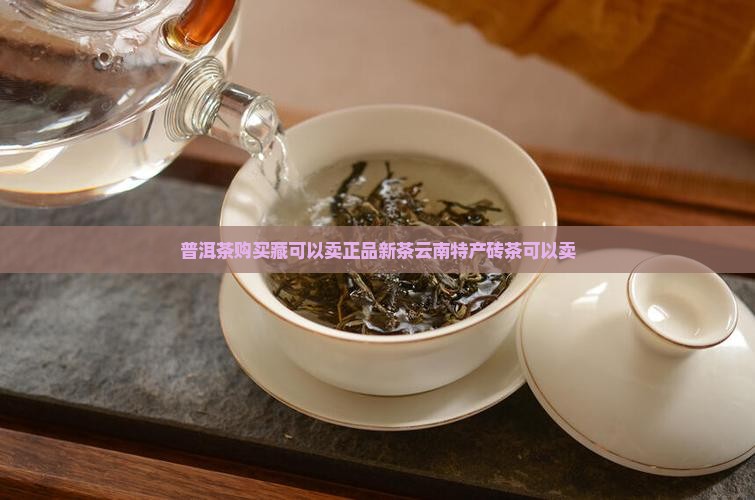 普洱茶购买藏可以卖正品新茶云南特产砖茶可以卖