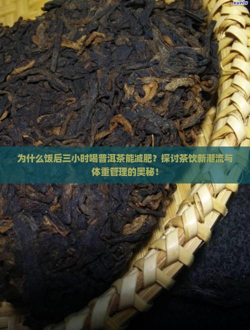 为什么饭后三小时喝普洱茶能减肥？探讨茶饮新潮流与体重管理的奥秘！