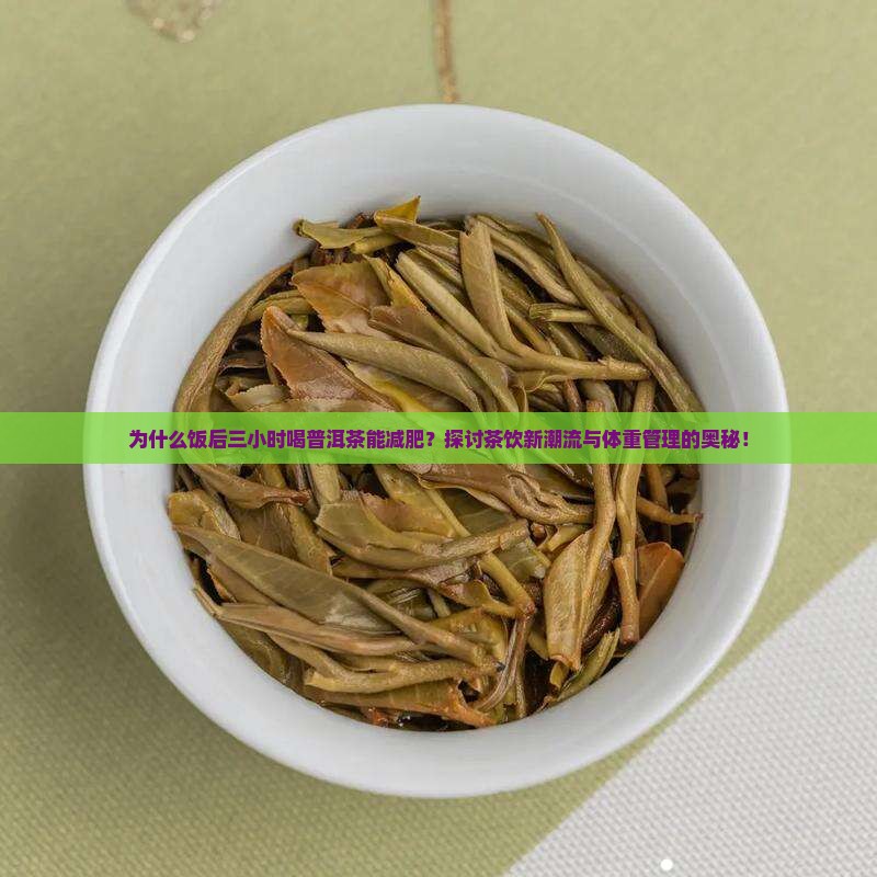 为什么饭后三小时喝普洱茶能减肥？探讨茶饮新潮流与体重管理的奥秘！