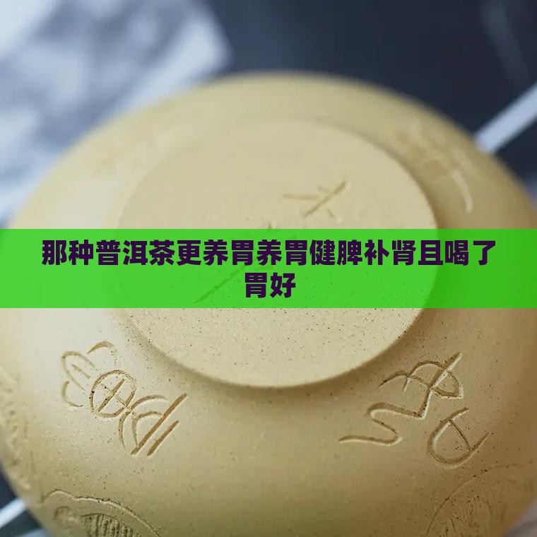 那种普洱茶更养胃养胃健脾补肾且喝了胃好