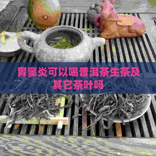 胃窦炎可以喝普洱茶生茶及其它茶叶吗