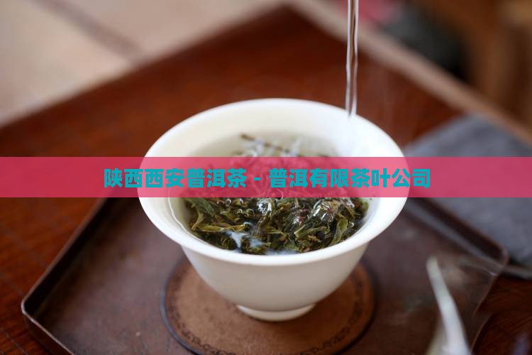 陕西西安普洱茶 - 普洱有限茶叶公司