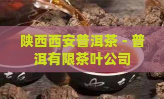 陕西西安普洱茶 - 普洱有限茶叶公司