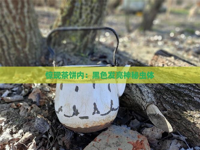 惊现茶饼内：黑色发亮神秘虫体