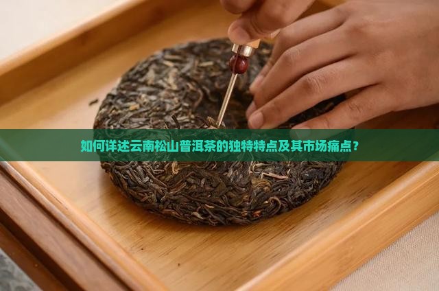 如何详述云南松山普洱茶的独特特点及其市场痛点？
