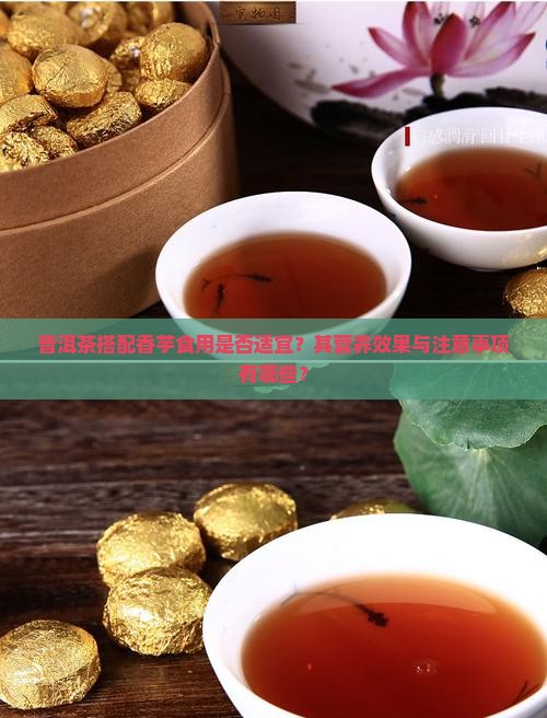 普洱茶搭配香芋食用是否适宜？其营养效果与注意事项有哪些？