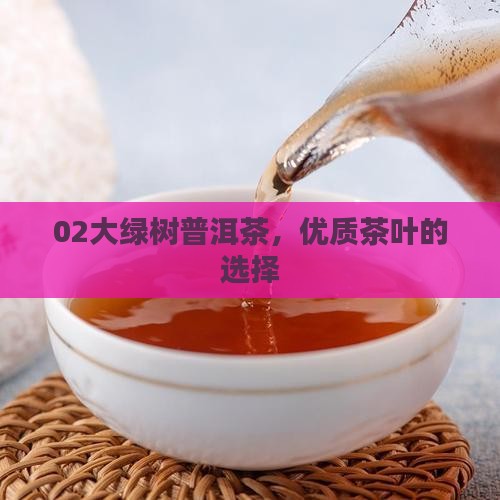 02大绿树普洱茶，优质茶叶的选择