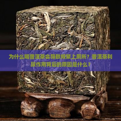 为什么喝普洱茶会导致频繁上厕所？普洱茶利尿作用背后的原因是什么？