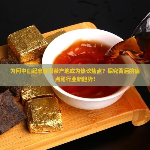 为何中山纪念普洱茶产地成为热议焦点？探究背后的痛点和行业新趋势！