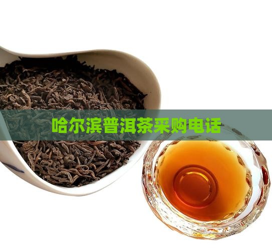 哈尔滨普洱茶采购电话