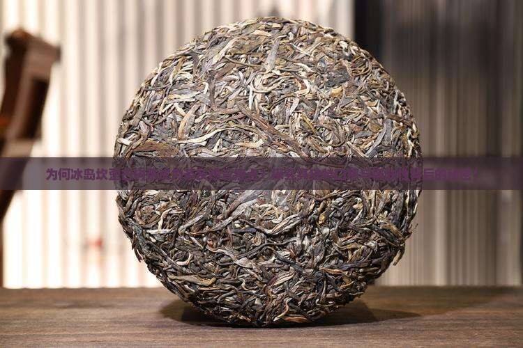 为何冰岛坎歪古树茶成为茶友热议焦点？探究其独特口感与稀缺性背后的秘密！