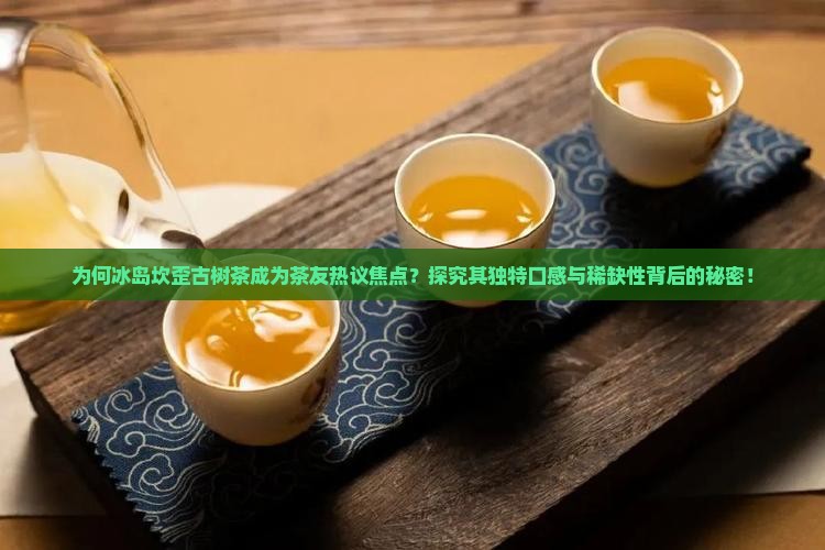 为何冰岛坎歪古树茶成为茶友热议焦点？探究其独特口感与稀缺性背后的秘密！
