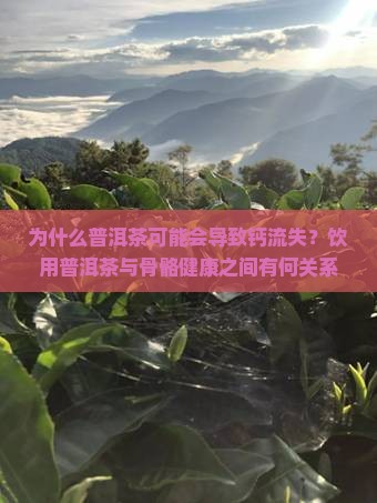 为什么普洱茶可能会导致钙流失？饮用普洱茶与骨骼健康之间有何关系？如何避免普洱茶对钙吸收的潜在影响？