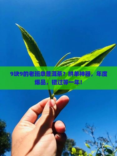 9块9的老班章普洱茶？拼单神器，年度爆品，错过等一年！