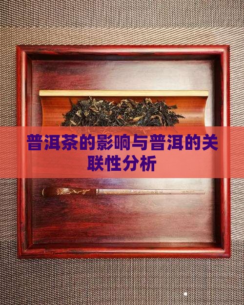 普洱茶的影响与普洱的关联性分析