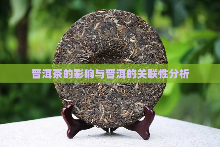 普洱茶的影响与普洱的关联性分析