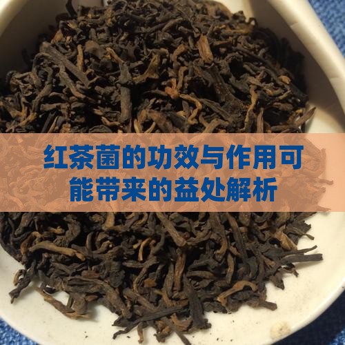红茶菌的功效与作用可能带来的益处解析