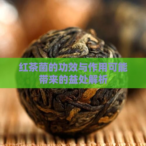 红茶菌的功效与作用可能带来的益处解析