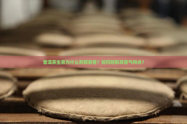 普洱茶生茶为什么有郁茶香？如何辨别其香气特点？