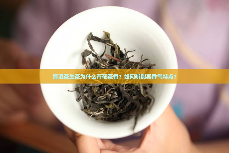 普洱茶生茶为什么有郁茶香？如何辨别其香气特点？