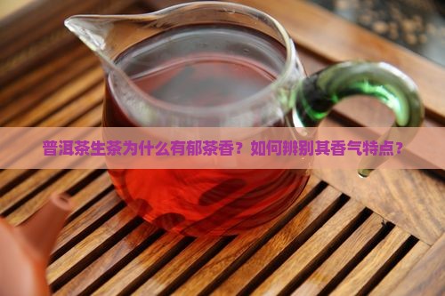 普洱茶生茶为什么有郁茶香？如何辨别其香气特点？