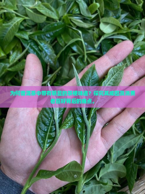 为何普洱茶中带有明显的茶梗味道？探究其成因及消费者喜好背后的痛点。