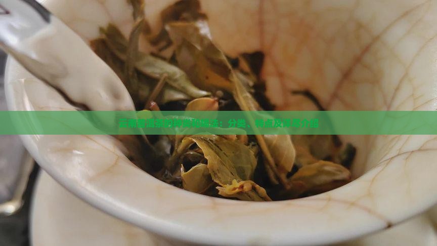 云南普洱茶的种类和喝法：分类、特点及详尽介绍