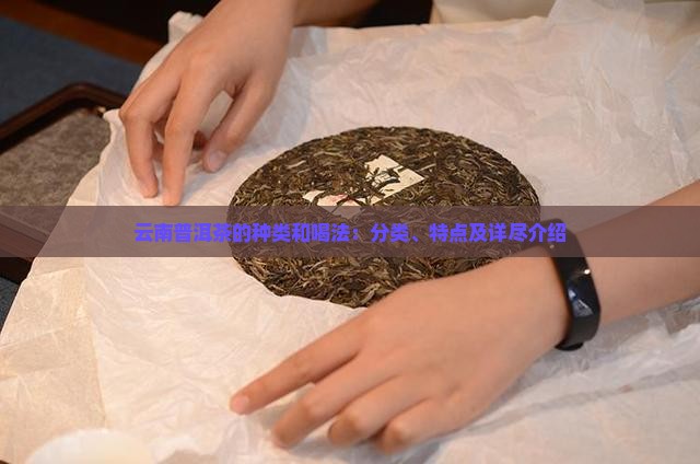 云南普洱茶的种类和喝法：分类、特点及详尽介绍