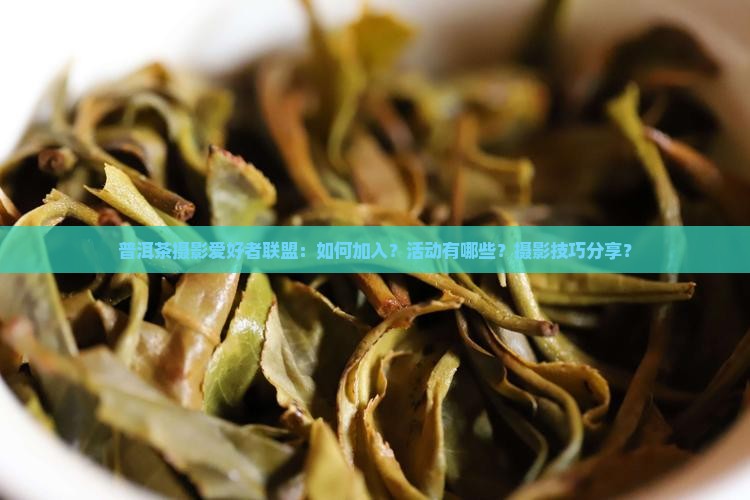 普洱茶摄影爱好者联盟：如何加入？活动有哪些？摄影技巧分享？