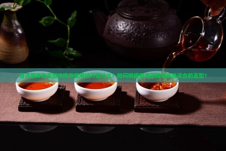 普洱茶冲泡壶型选择与使用技巧是什么？如何根据普洱茶种类挑选适合的壶型？