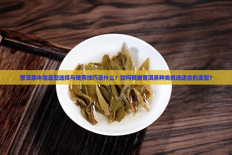 普洱茶冲泡壶型选择与使用技巧是什么？如何根据普洱茶种类挑选适合的壶型？