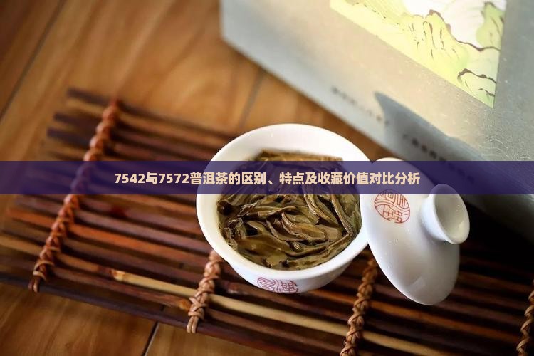 7542与7572普洱茶的区别、特点及收藏价值对比分析