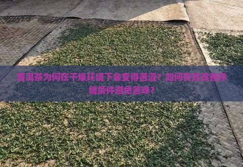 普洱茶为何在干燥环境下会变得苦涩？如何有效改善存储条件避免苦味？