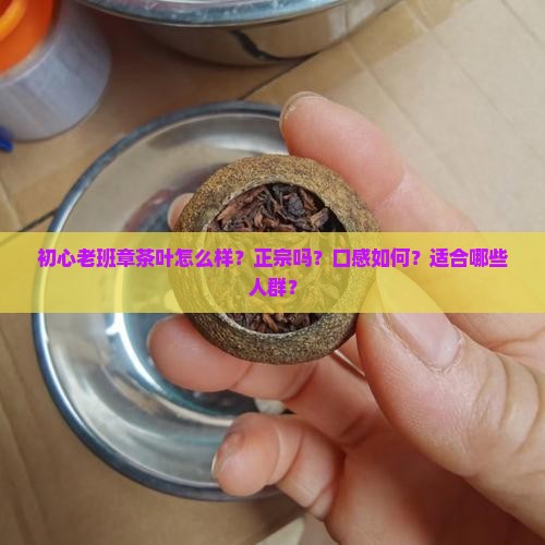 初心老班章茶叶怎么样？正宗吗？口感如何？适合哪些人群？