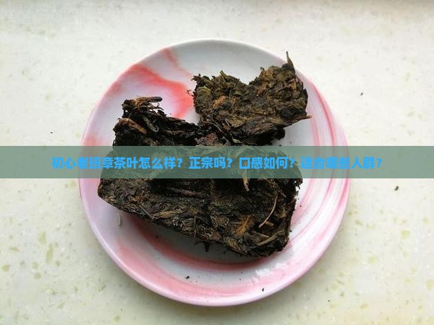 初心老班章茶叶怎么样？正宗吗？口感如何？适合哪些人群？