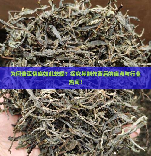 为何普洱茶底如此软糯？探究其制作背后的痛点与行业热词！