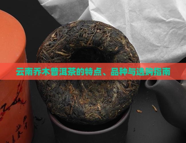 云南乔木普洱茶的特点、品种与选购指南