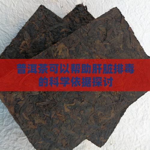 普洱茶可以帮助肝脏排毒的科学依据探讨