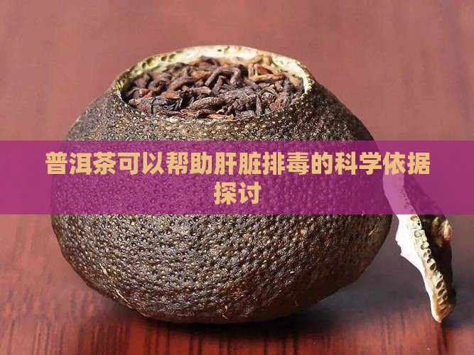 普洱茶可以帮助肝脏排毒的科学依据探讨