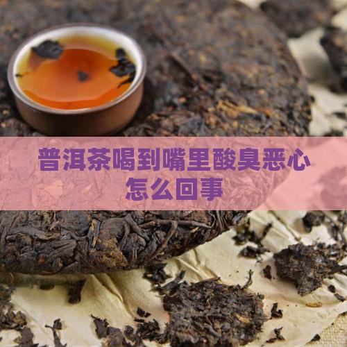 普洱茶喝到嘴里酸臭恶心怎么回事