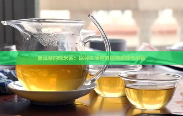 普洱茶的糯米香：探寻生活中的独特香味与米香